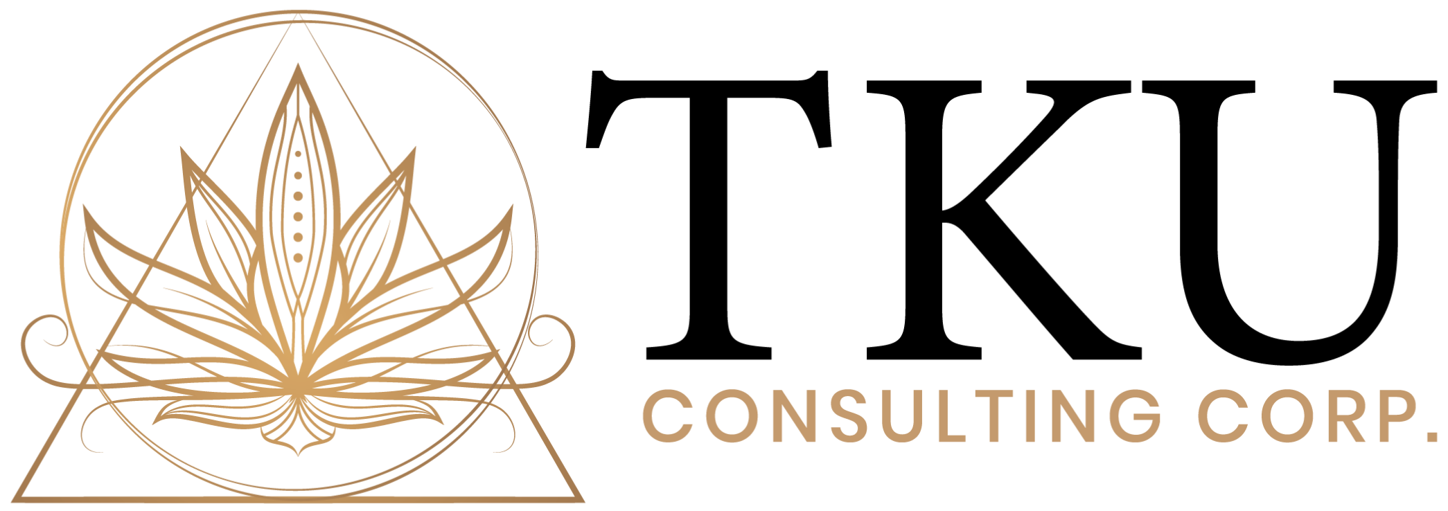 tkuconsultingcorp.com