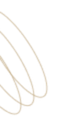 tkuconsultingcorp.com